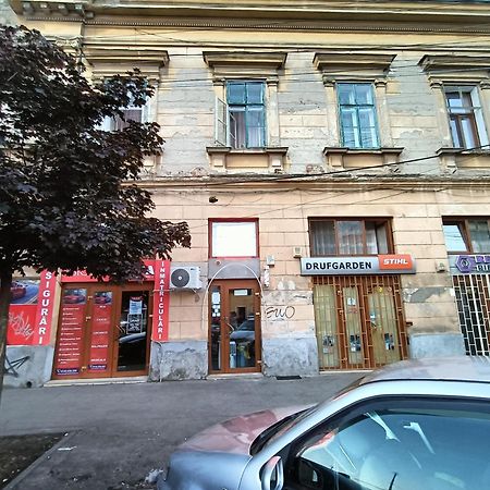 Casa Heidi Hotel Timisoara Bagian luar foto