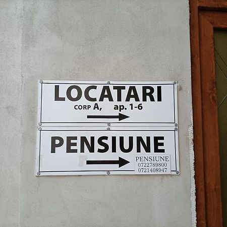 Casa Heidi Hotel Timisoara Bagian luar foto