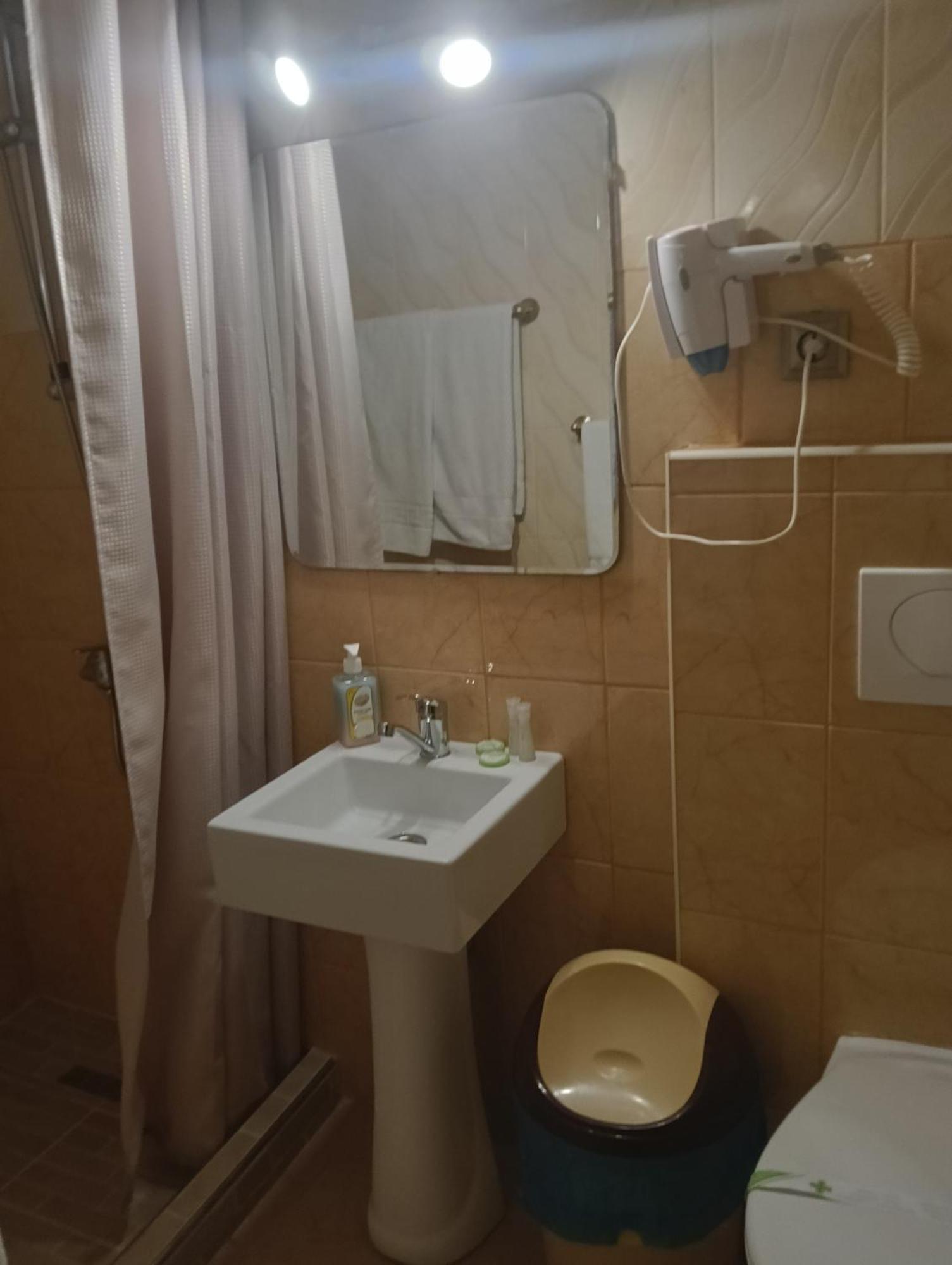 Casa Heidi Hotel Timisoara Ruang foto